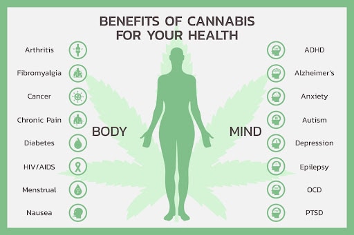 Benefits of cannabis oil