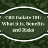 CBD Isolate 101: What it is, Benefits and Risks
