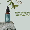 How long does it take for CBD Oil to work?