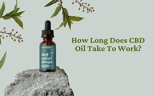 How Long Does CBD Oil Take To Work?